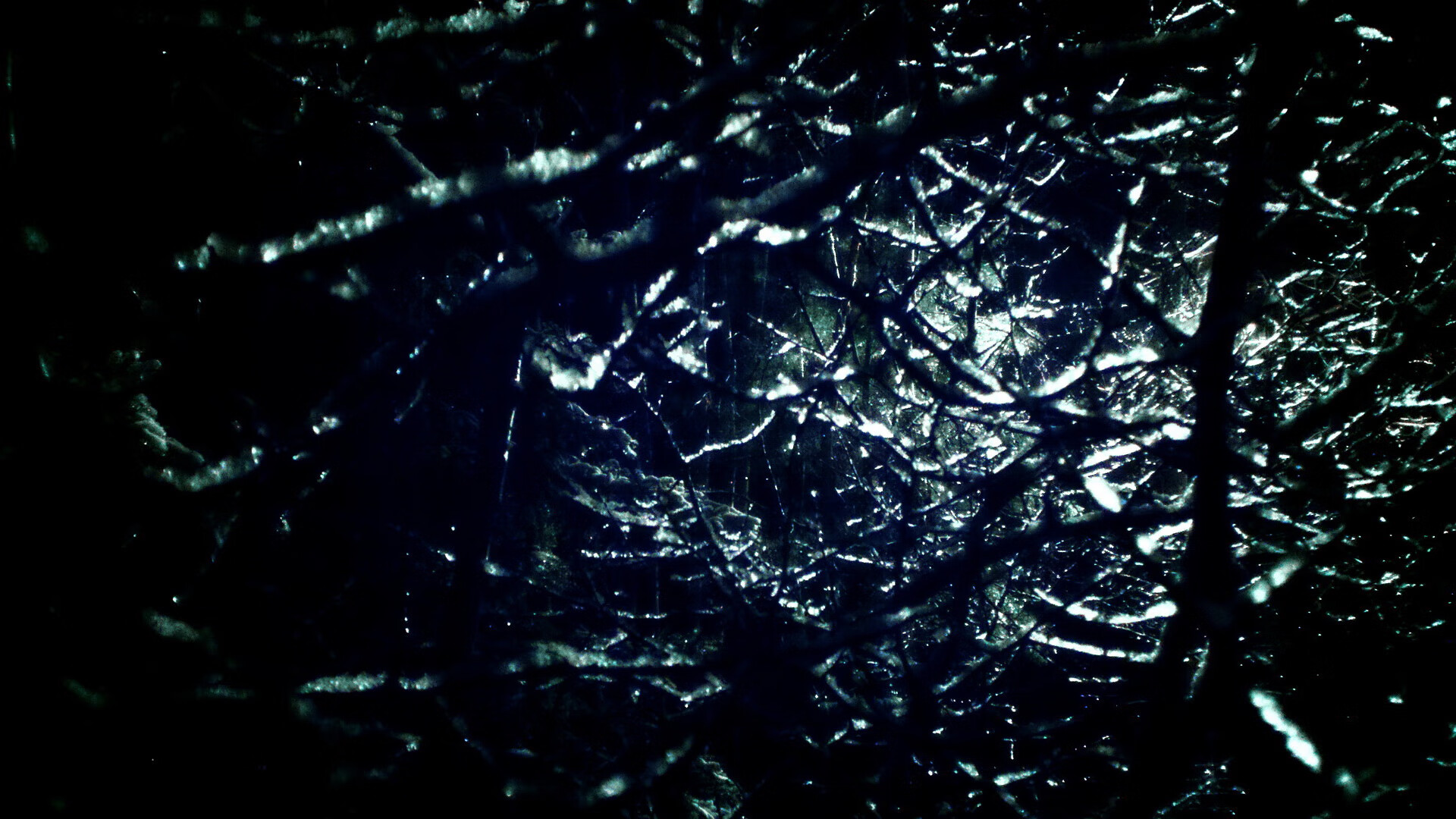 欧冠淘汰赛之夜，塔图姆高光表现，跨越运动的传奇共鸣